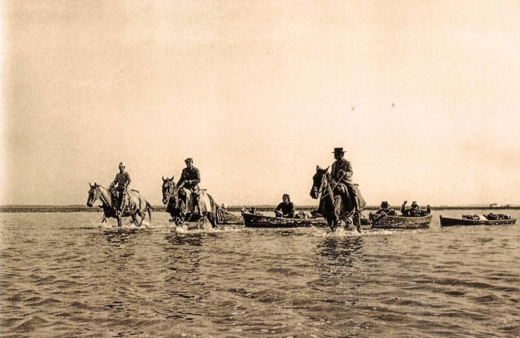 Doñana en 1960-1970