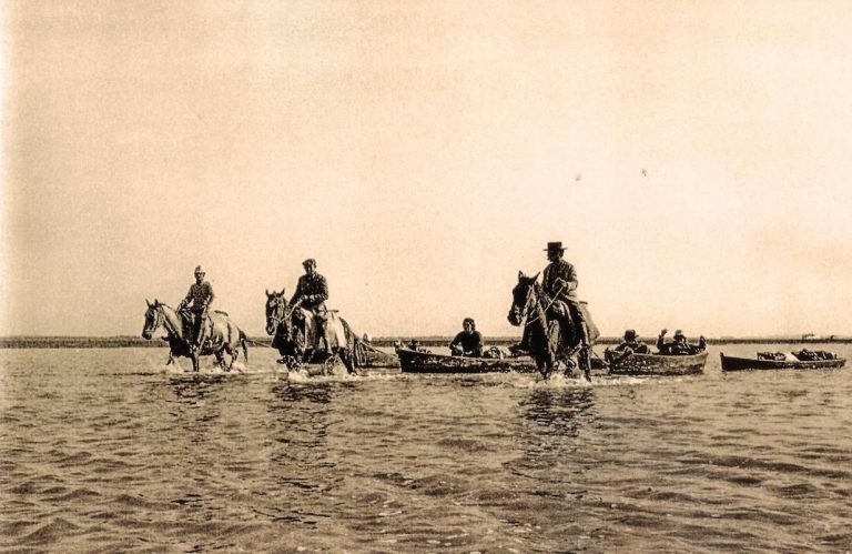 Doñana en 1960-1970