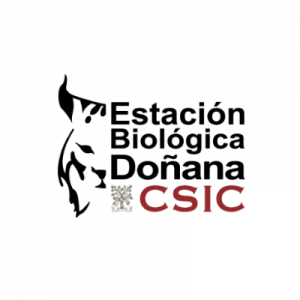 Logo Estación Biológica de Doñana - CSIC
