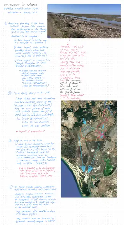 Flujos de agua superficial en Doñana Piloto 5 RIVERS-REST (trabajos de campo marzo 2026) – notas y conclusiones