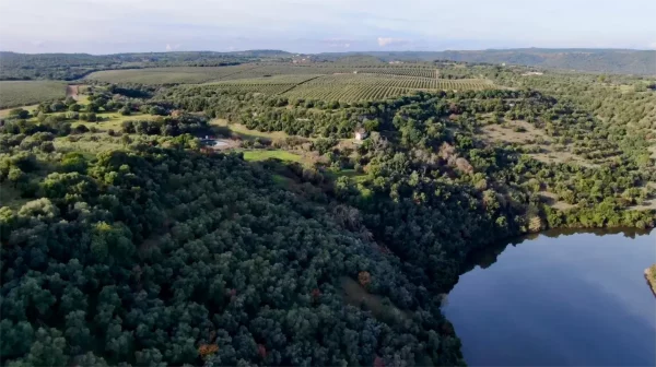 Olivar super-intensivo sobre la Presa de derivación del Retortillo, dentro del Perímetro de protección ©Yuntas