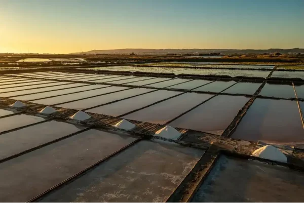 Acuicultura y salinas en la Ilha da Morraceira ©Portugalidade Magazine