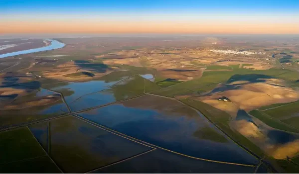 Marisma de Trebujena inundada en 2021 ©Antonio López, Ecologistas en Acción